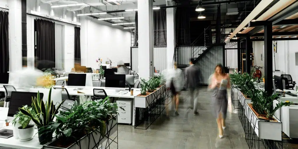 Commercial Fit Outs and Construction